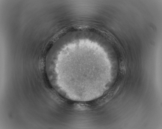 X0000112200372200909181538