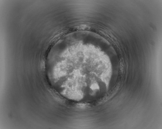 X0000112200375200909181538
