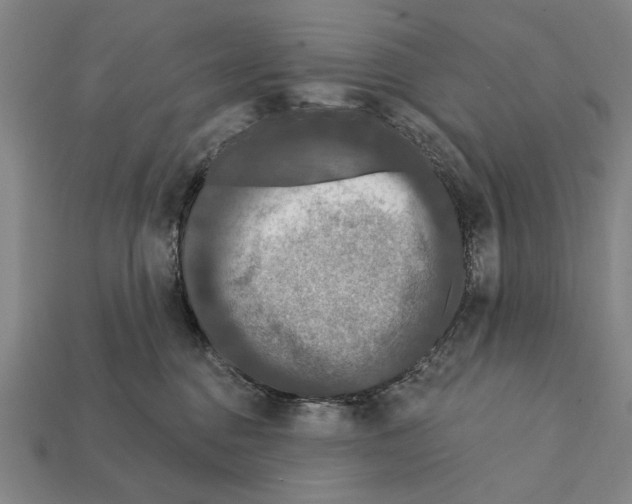 X0000112200376200909181538