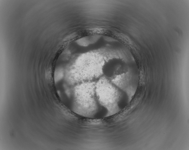 X0000112200377200909181538