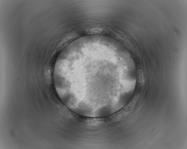 X0000112200378200909181538