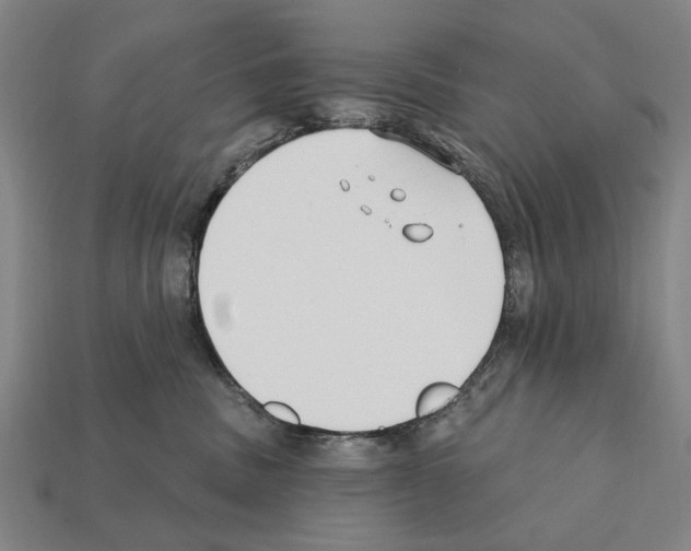 X0000112200379200909181538