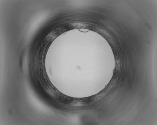 X0000112200381200909181538