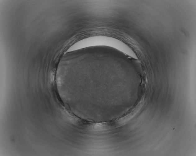 X0000112200382200909181538