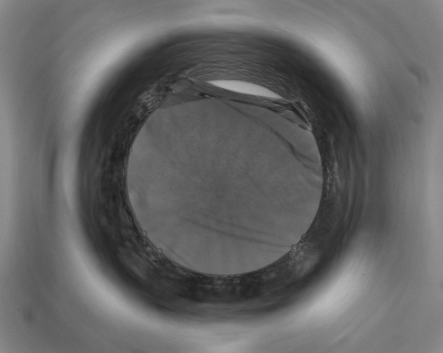 X0000112200383200909181538
