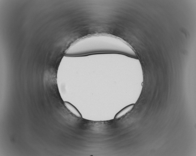 X0000112200384200909181539