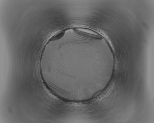 X0000112200385200909181538