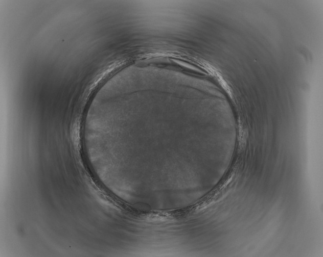 X0000112200386200909181538