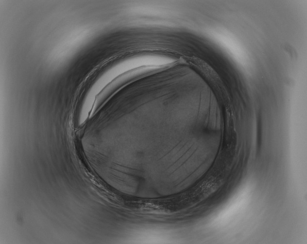 X0000112200387200909181538