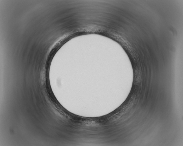 X0000112200392200909181538