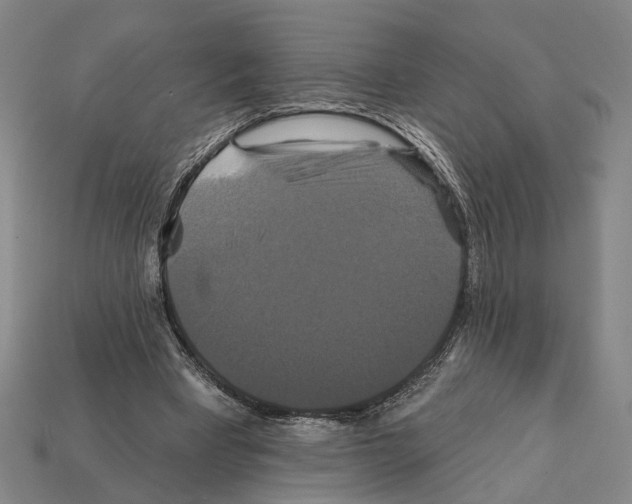 X0000112200393200909181538