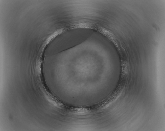 X0000112200395200909181538
