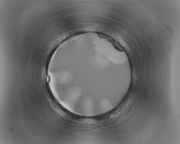 X0000112200397200909181538