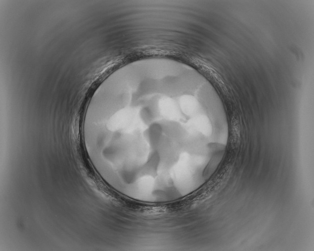 X0000112200398200909181538