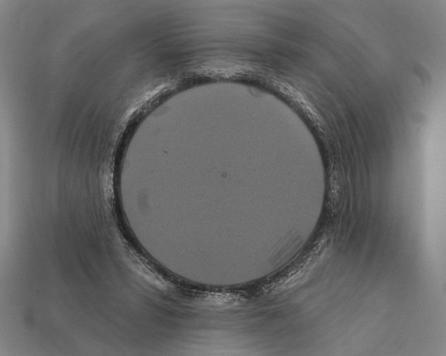 X0000112200399200909181538