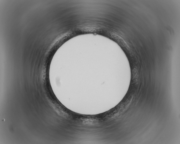 X0000112200400200909181538