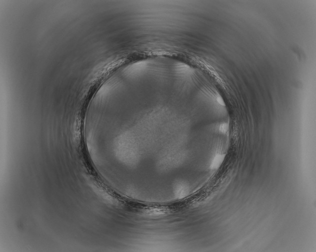 X0000112200402200909181538