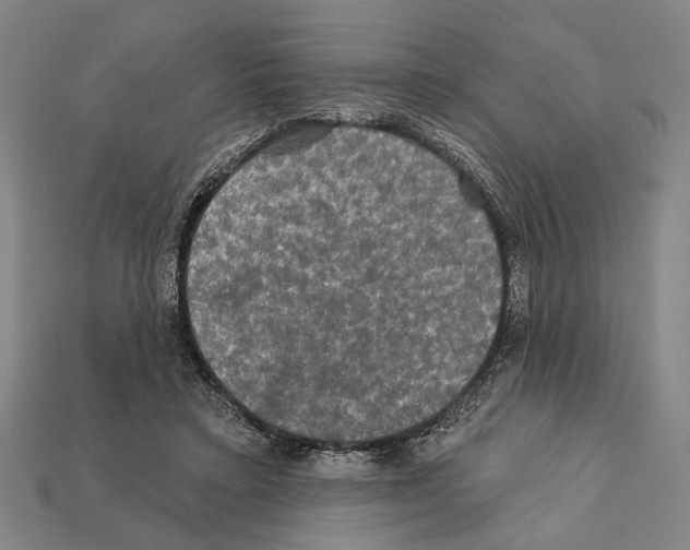 X0000112200403200909181537