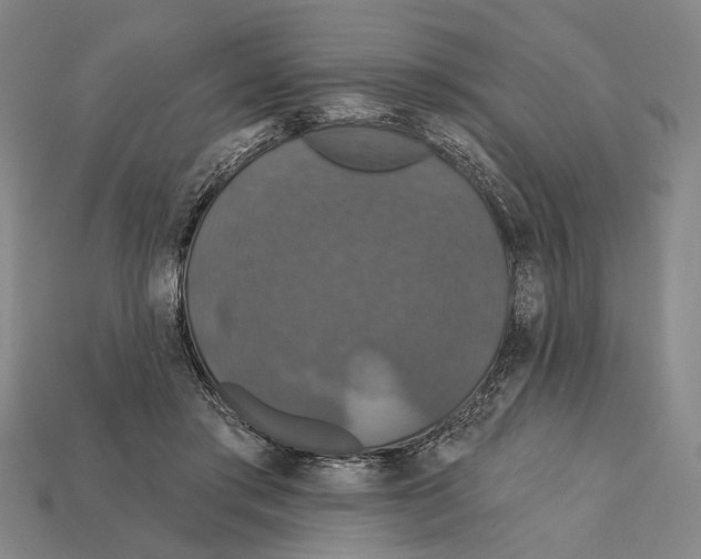 X0000112200405200909181537
