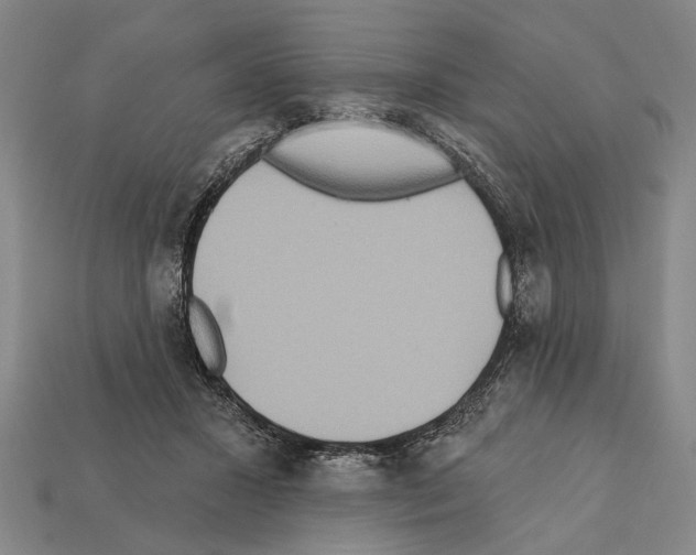 X0000112200407200909181537