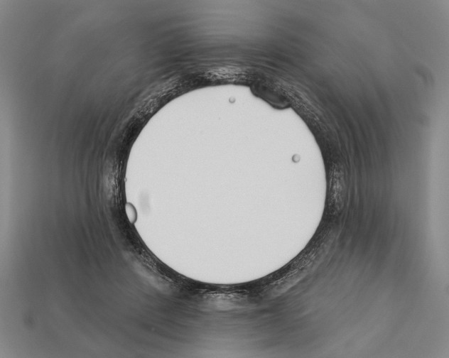 X0000112200408200909181537