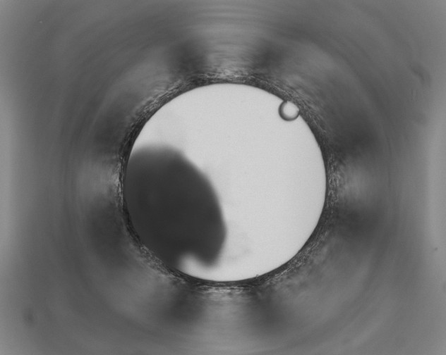 X0000112200415200909181537