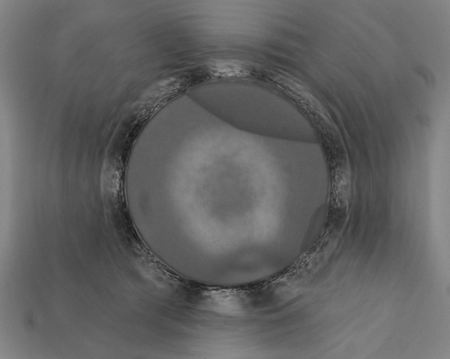 X0000112200417200909181537