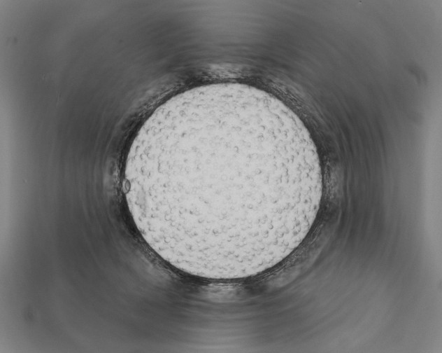 X0000112200418200909181537