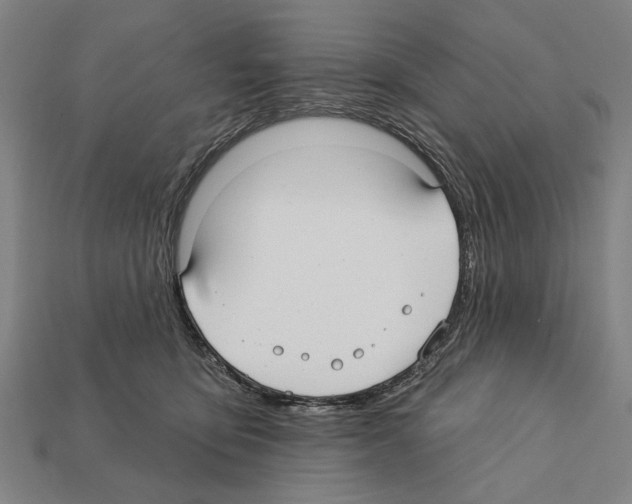 X0000112200419200909181537