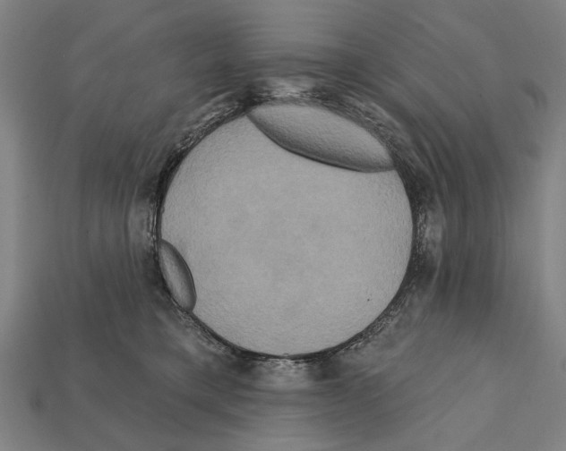 X0000112200421200909181537
