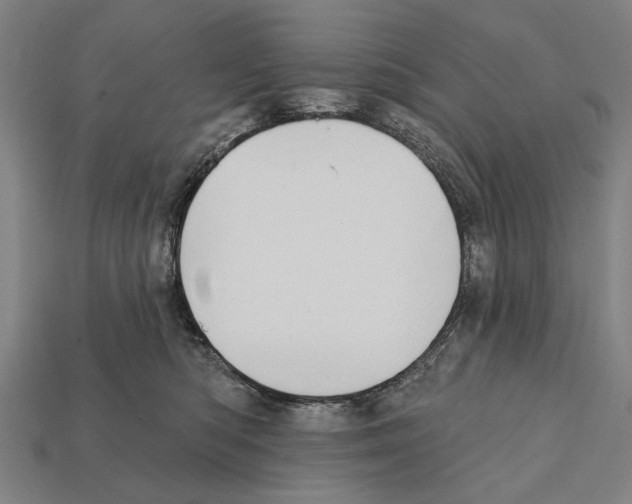 X0000112200422200909181537