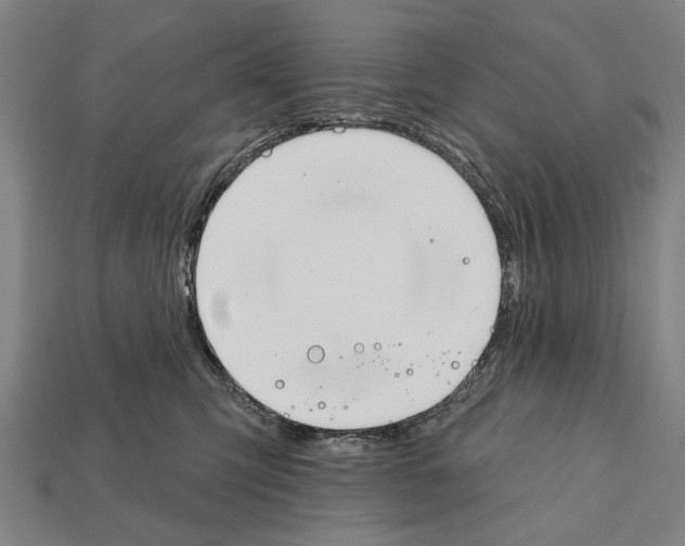 X0000112200423200909181537
