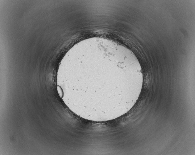 X0000112200424200909181537