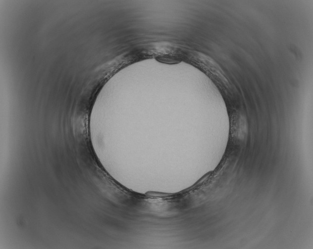 X0000112200425200909181537