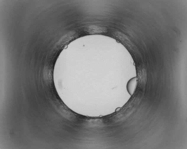 X0000112200426200909181537