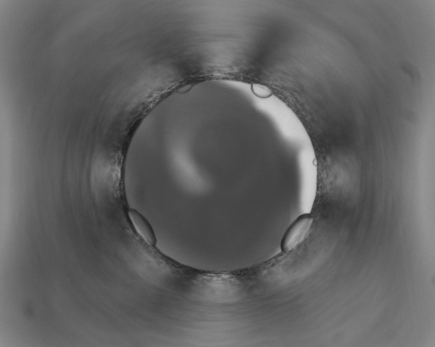 X0000112200427200909181537