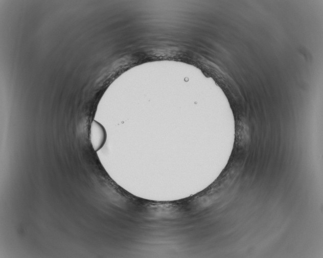 X0000112200428200909181537