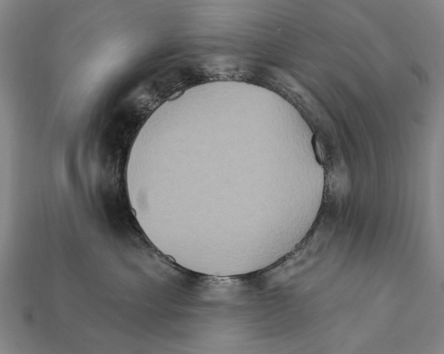 X0000112200429200909181537