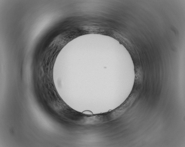 X0000112200430200909181537