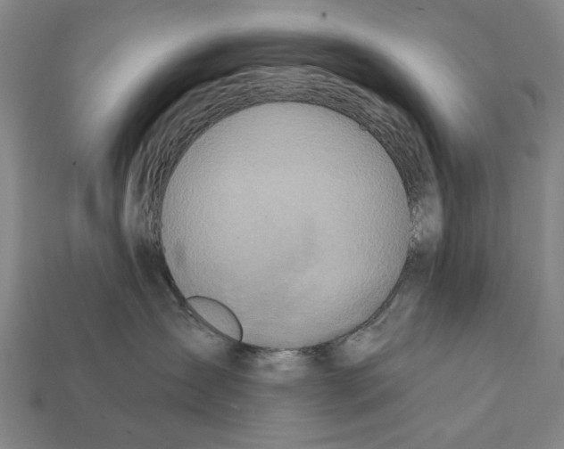 X0000112200431200909181537