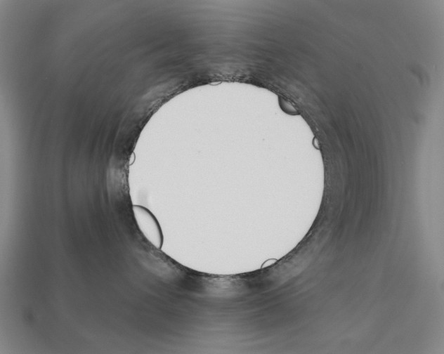 X0000112200432200909181537
