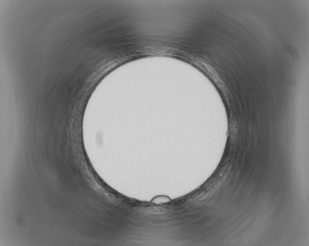 X0000112200433200909181537