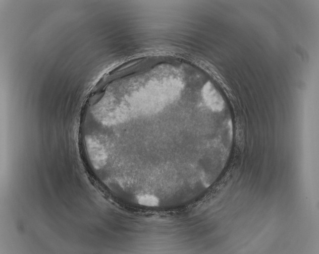 X0000112200434200909181537
