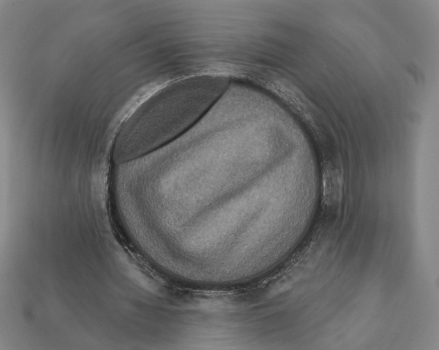 X0000112200436200909181537