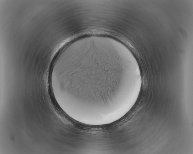 X0000112200438200909181537