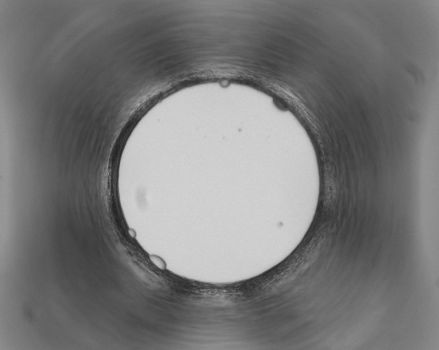 X0000112200439200909181537