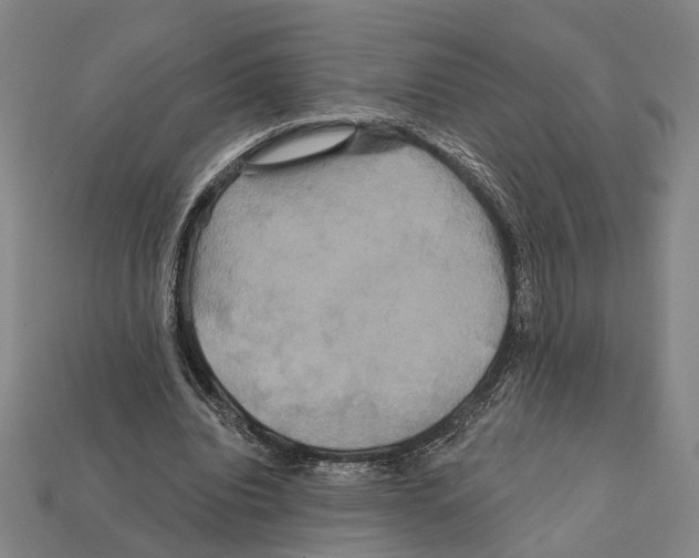 X0000112200440200909181537