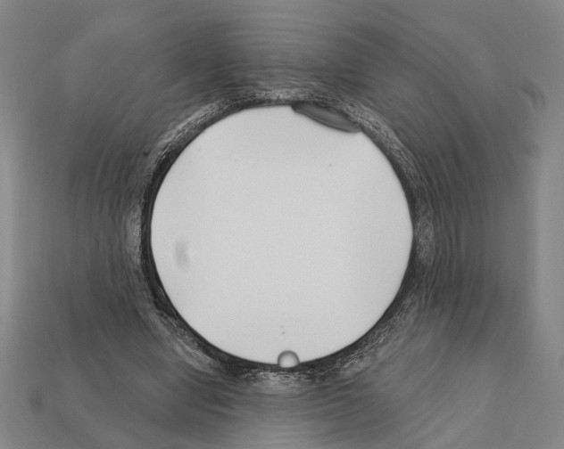 X0000112200442200909181537
