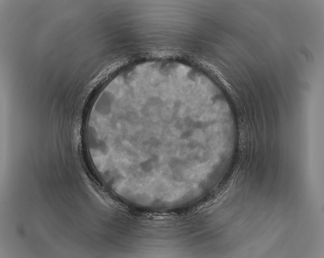 X0000112200443200909181537