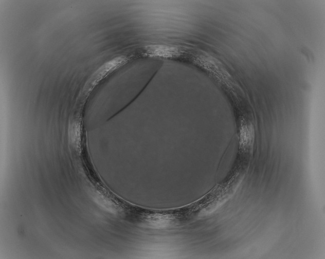 X0000112200444200909181537
